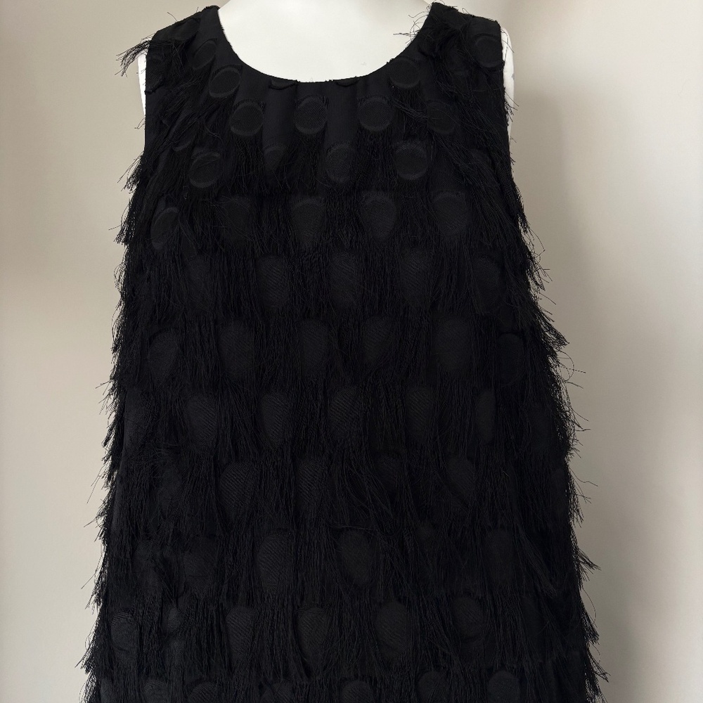 Anthropologie black flapper style dress with feathers